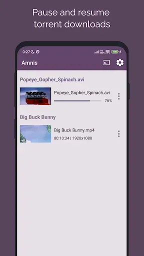 Скриншот 5 — Amnis - Torrent Player
