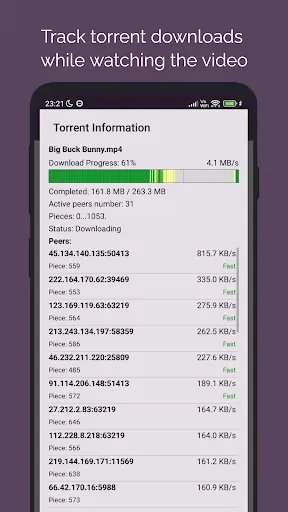 Скриншот 6 — Amnis - Torrent Player