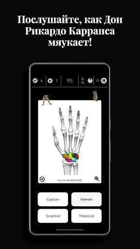 Скриншот 4 — Anatomist — игра по анатомии
