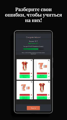 Скриншот 5 — Anatomist — игра по анатомии