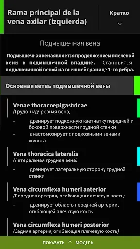 Скриншот 6 — Anatomyka - 3D анатомия