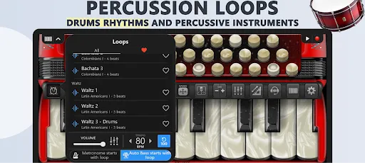Скриншот 3 — Accordion Piano Cassoto Game