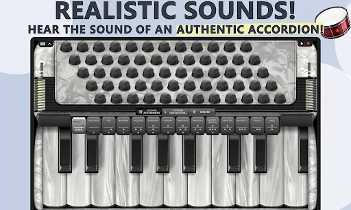 Скриншот 6 — Accordion Piano Cassoto Game