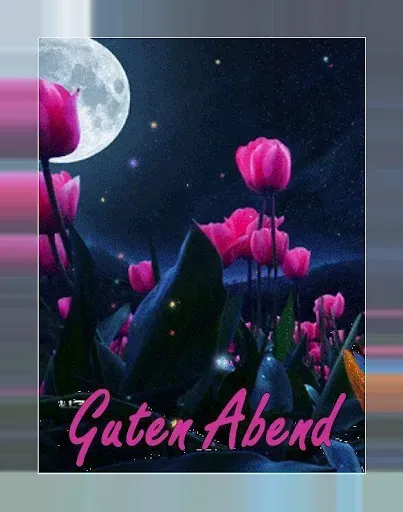 Скриншот 2 — Guten Abend Gute Nacht Bilder