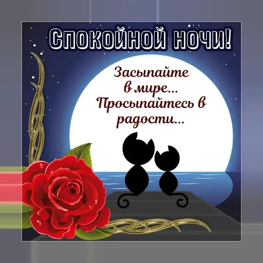 Скриншот 6 — Спокойной ночи и Cладких снов