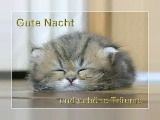 Скриншот 2 — Gute Nacht Bilder für Whatsapp