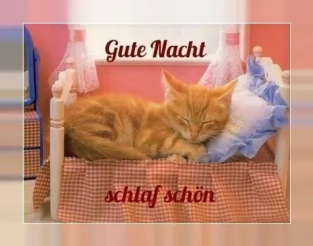 Скриншот 3 — Gute Nacht Bilder für Whatsapp