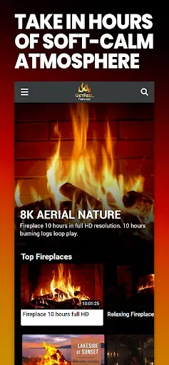 Скриншот 3 — GetReel Fireplaces
