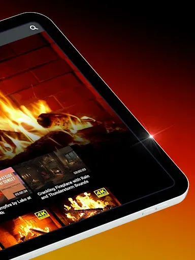 Скриншот 7 — GetReel Fireplaces