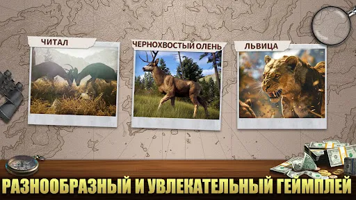 Скриншот 4 — Охотник - Дикий Снайпер