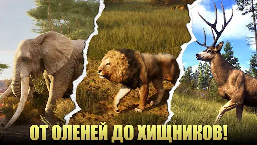 Скриншот 5 — Охотник - Дикий Снайпер