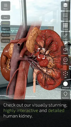 Скриншот 3 — INSIGHT KIDNEY