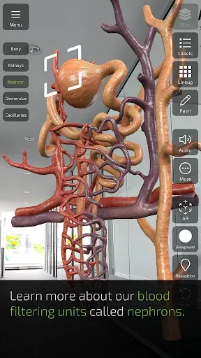 Скриншот 4 — INSIGHT KIDNEY