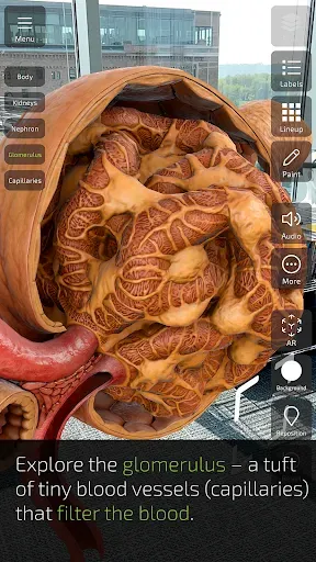 Скриншот 5 — INSIGHT KIDNEY