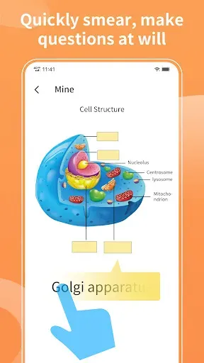 Скриншот 6 — Nice Flashcard