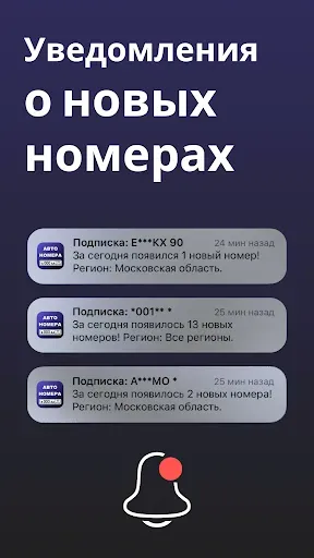 Скриншот 5 — Numpl: номера на авто