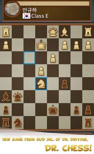 Скриншот 5 — Dr. Chess