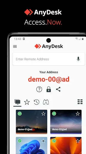 Скриншот 1 — Удаленный рабочий стол AnyDesk