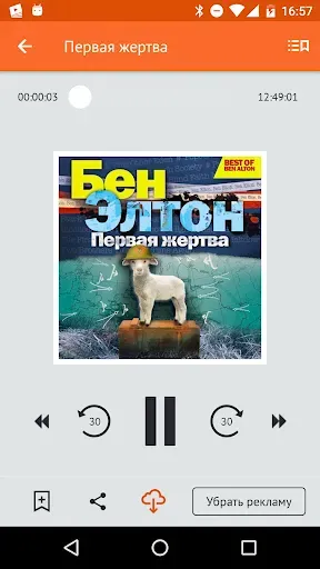 Скриншот 4 — Читать книги