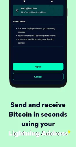 Скриншот 6 — Bitnob