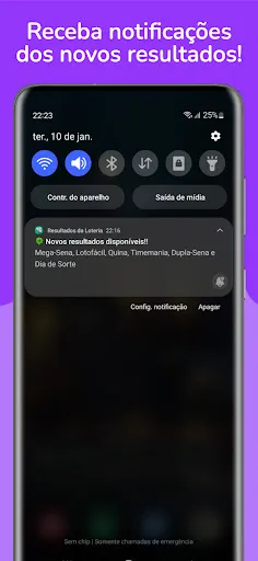 Скриншот 4 — Resultados da Loteria