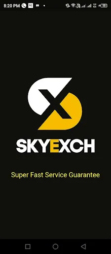 Скриншот 1 — SkyExch