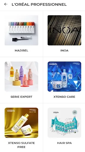 Скриншот 6 — L'Oréal ACCESS IN