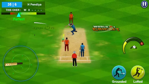 Скриншот 6 — World of Cricket :Championship