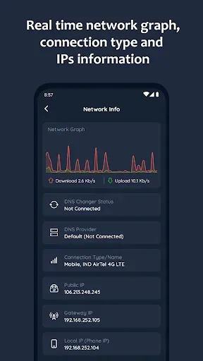 Скриншот 6 — DNS Changer - IPv4 & IPv6
