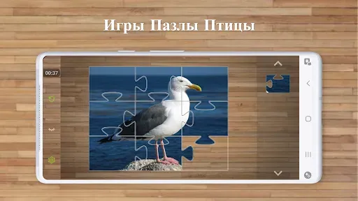Скриншот 1 — Игры Пазлы Птицы