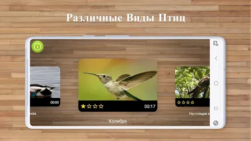 Скриншот 2 — Игры Пазлы Птицы
