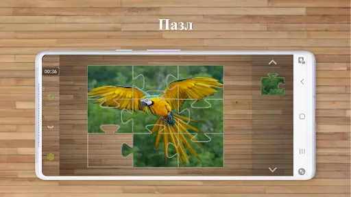 Скриншот 3 — Игры Пазлы Птицы