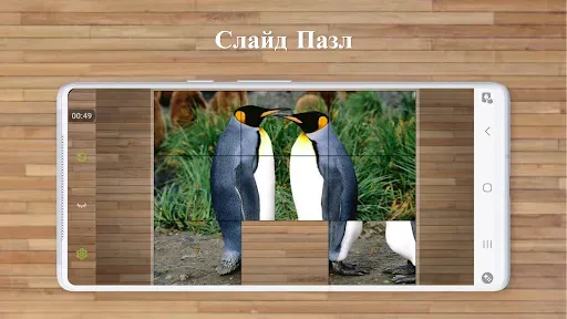 Скриншот 4 — Игры Пазлы Птицы