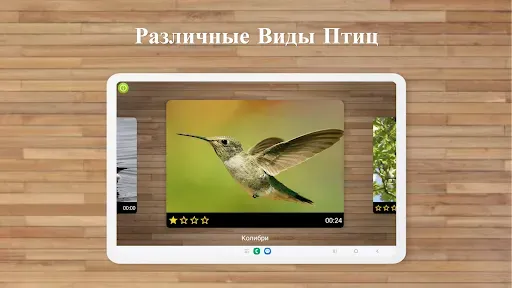 Скриншот 7 — Игры Пазлы Птицы