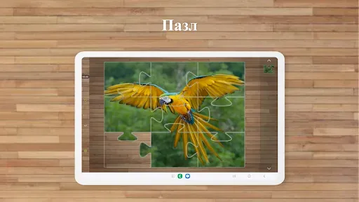 Скриншот 8 — Игры Пазлы Птицы
