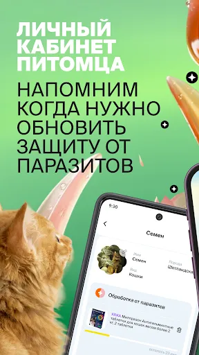 Скриншот 5 — Четыре Лапы - зоомагазин