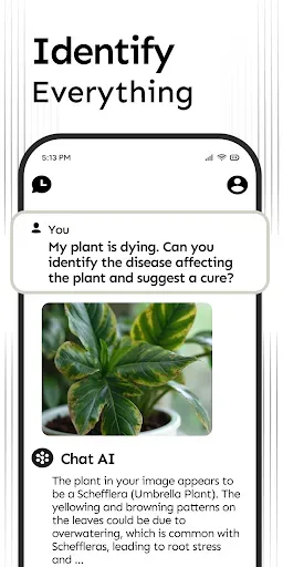 Скриншот 6 — Chat AI for DeepSeek R1