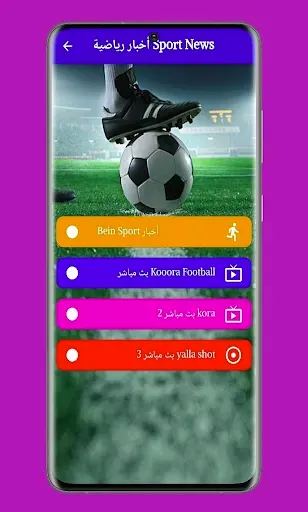Скриншот 4 — arabic news live channels
