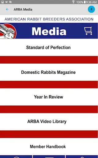 Скриншот 8 — ARBA