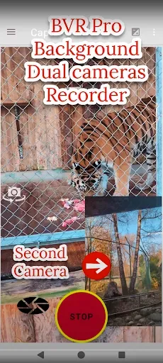 Скриншот 3 — Background Video Recorder Pro