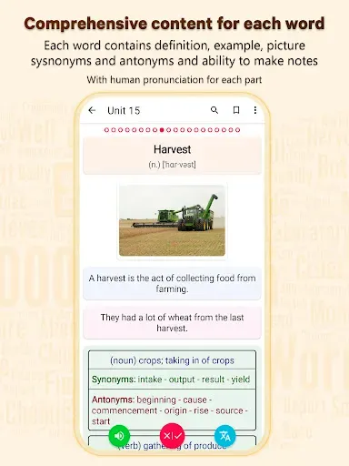 Скриншот 2 — Essential Vocabulary