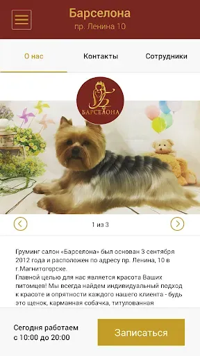 Скриншот 4 — Груминг салон "Барселона"