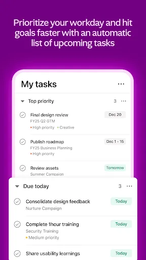 Скриншот 4 — Asana: работа в одном месте