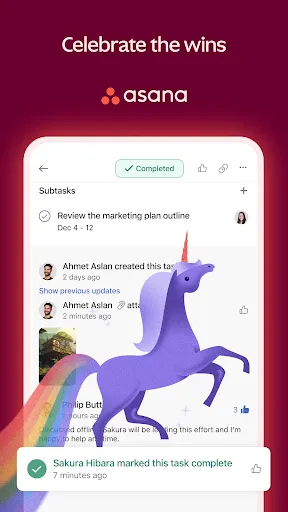 Скриншот 7 — Asana: работа в одном месте