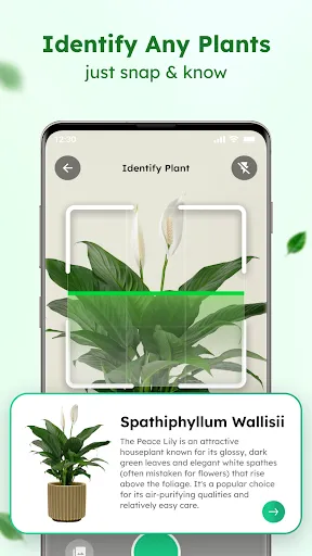 Скриншот 1 — Plant Identifier: Plant App
