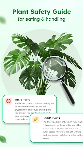 Скриншот 6 — Plant Identifier: Plant App
