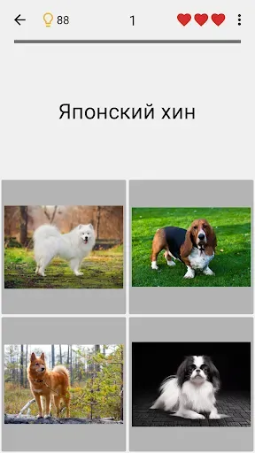 Скриншот 4 — Собаки - Угадай все породы!