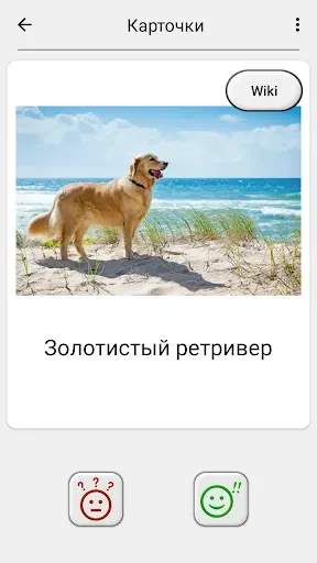 Скриншот 5 — Собаки - Угадай все породы!
