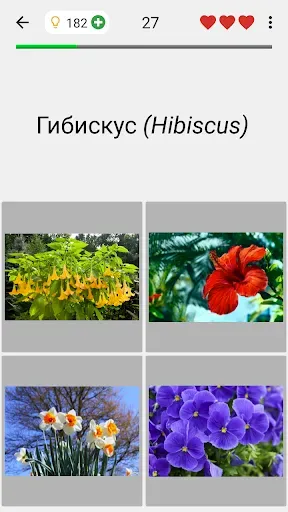 Скриншот 4 — Цветы - Викторина по ботанике