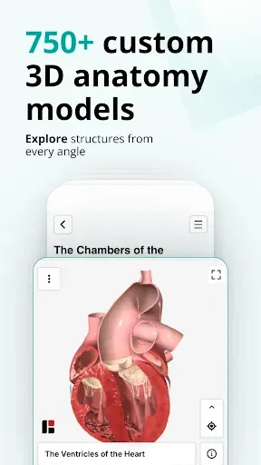 Скриншот 3 — Teach Me Anatomy